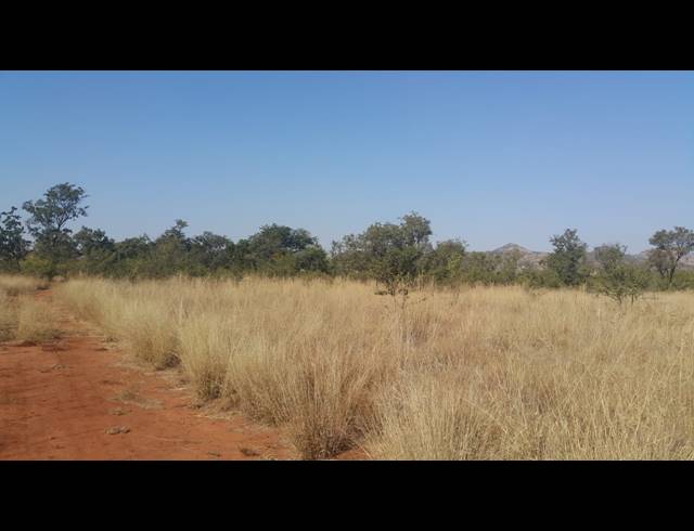 21.40HA FARM FOR SALE IN WAAGFONTEIN